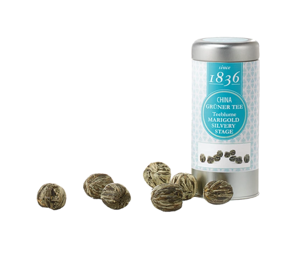 Blooming Tea Marigold Silvery Stage