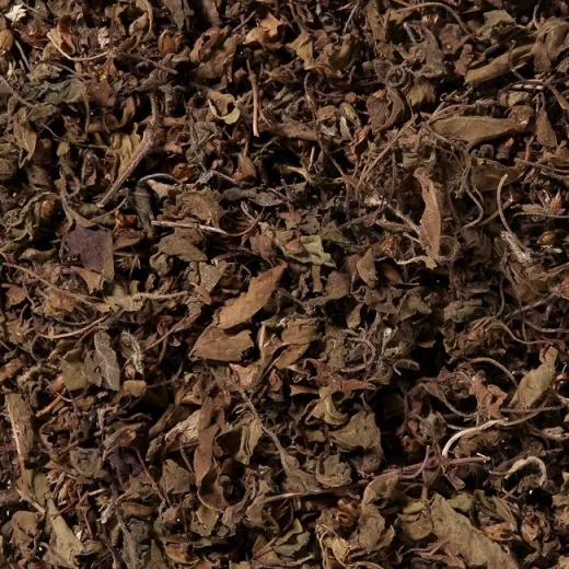 Tulsi
